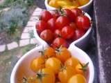 Tomates du jardin sous toutes leurs formes