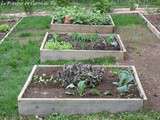 Potager en carré en avril 2012
