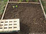 Potager en Carré en mai 2011