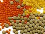 Lentilles à la basquaise