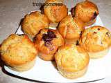 Muffins moelleux aux pépites de chocolats noir et zeste d'oranges