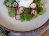 Salade de fèves, radis roses et fromage en faisselle