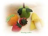 Fruits a consommer par ce grand froid