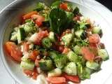 Salade de tomates et de concombre, sauce à l'origan