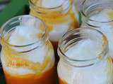 Printemps est orange : Les pots au yaourt et aux abricots, miel de citronnier