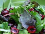 Printemps est rouge : mesclun aux cerises