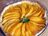 Saison Des Tartes Aux Fruits : Version Mangue - Vanille