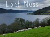 Visit Ecosse : Inverness Loch ness (Etape2)