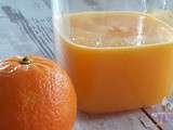 Jus d’orange et citron à l’extracteur de jus