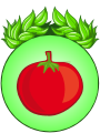 Participant au Défi La Tomate dans tous ses états