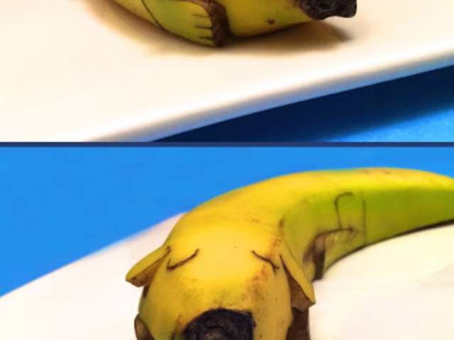 Recettes de Chien et Bananes