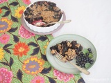 Crumble aux myrtilles sauvages