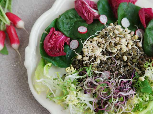 Recette Haricot mungo facile - Les recettes de Haricot mungo les plus