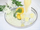 Limoncello maison