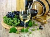 Comment savoir si un vin est un vin de garde