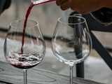 Organiser une dégustation de vins exquis pour épater vos convives