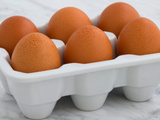 Professionnels : comment bien choisir son fournisseur d’œufs