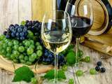 Trouver le bon domaine viticole dans le Bordelais