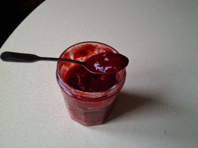 Gelée De Framboises Congelées Avec Extracteur De Jus