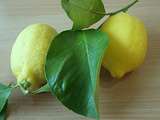 Citron de Menton