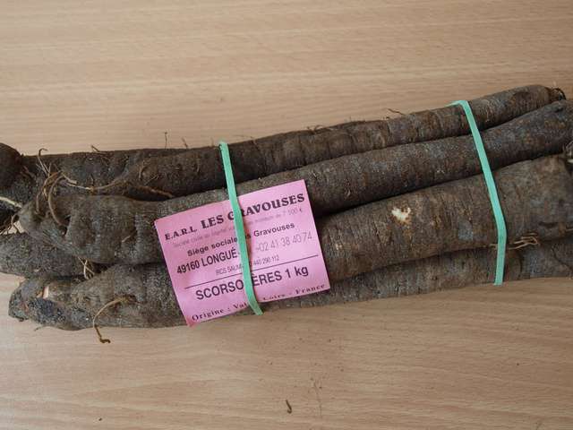 Les Meilleures Recettes de Scorsonère