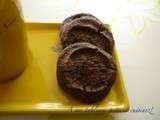 Biscuits au chocolat noir et à la fleur de sel de Pierre Hermé