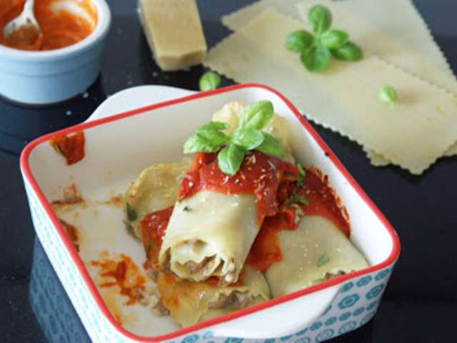 Recettes De Cannelloni Et Canard