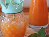 Jus carotte, orange & fenouil * Extracteur Tribest Slowstar