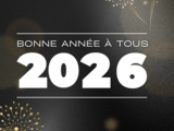 Bonne année 2026 sans allergènes