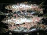 Pilchards (grosses sardines de la Manche) au plat