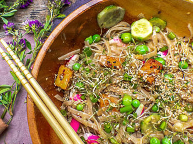 Salade de nouilles soba au saumon et à la vinaigrette soja