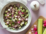 Salade de lentilles aux crudités