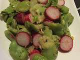 Salade de radis et de fèves
