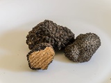 Truffe : découverte d’un trésor gastronomique et secrets de culture