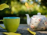 5 types de thés indiens aux bienfaits pour la santé