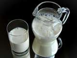9 meilleures alternatives de lait non laitier à commencer à stocker dans votre réfrigérateur dès maintenant
