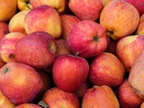 Fabricant de jus de pommes : du verger au verre, l’excellence française
