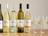 Quel est le meilleur vin blanc Tariquet