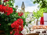 Restaurant en Bourgogne : la brasserie à Tournus qui séduit les gourmets