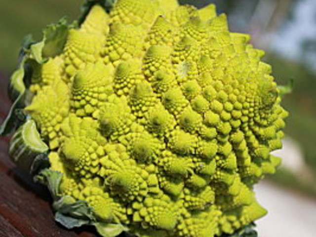 Les Meilleures Recettes De Chou Et Chou Romanesco