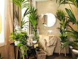 Plantes vertes dans la chambre