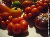 Merveilleuses tomates