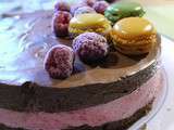 Gâteau chocolat-framboises