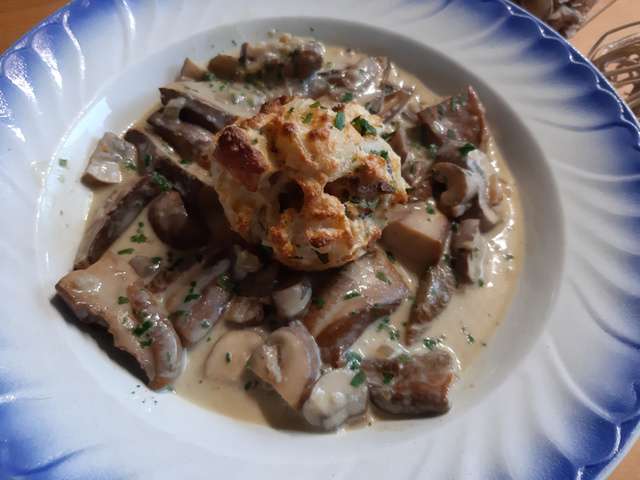 Recettes de Sauce aux cepes