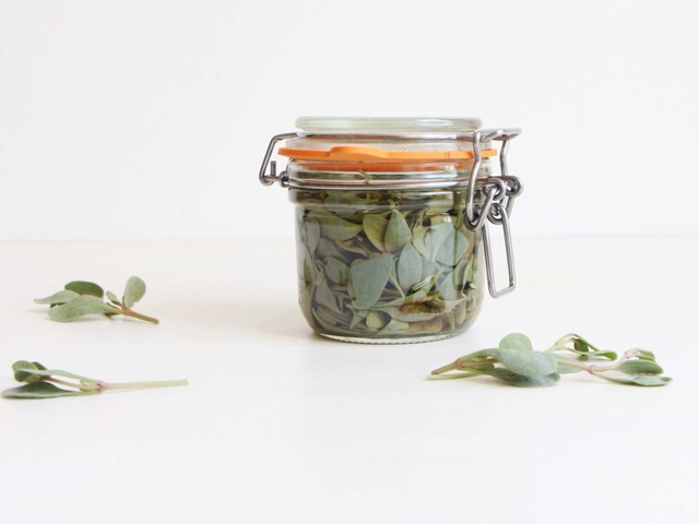 Recettes de Salicorne de Au Four & Au Moulin
