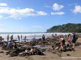 Expérience à Hot Water Beach, Coromandel, nz