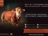 Concours national de la race limousine {Limoges 5, 6 et 7 septembre 2014}