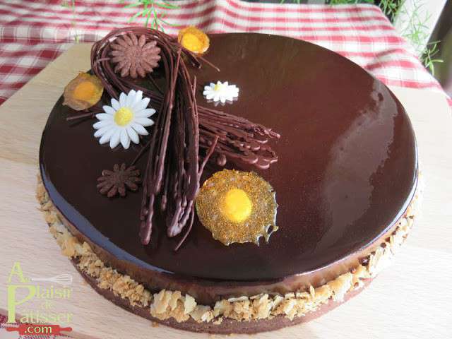 Recettes D Entremets De Au Plaisir De Patisser