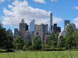 Central Park et le Muséum d’Histoire Naturelle de New-York