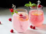 Cocktail Gin, rhubarbe & framboise